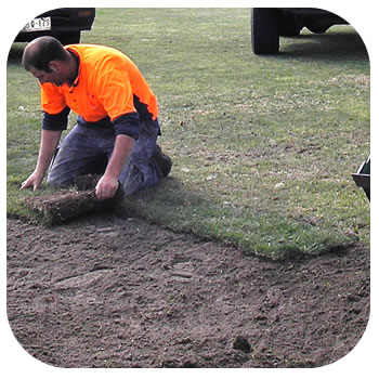 Sod laying